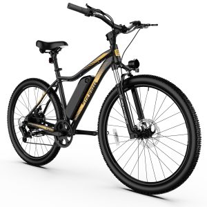 5th Wheel Ebike 48V 500W 10.4 Ah eMTB