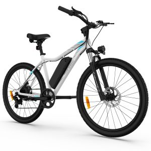 5th Wheel Ebike 36V 500W 13 Ah eMTB